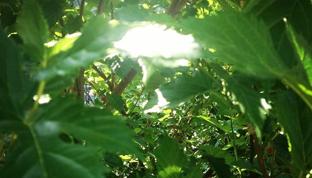 c820287eccba11e2826f22000a9f13e9_7