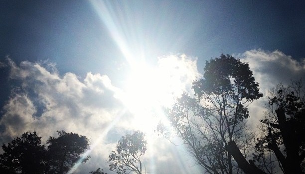 caa2c7a8740111e2862522000a1f9c96_7