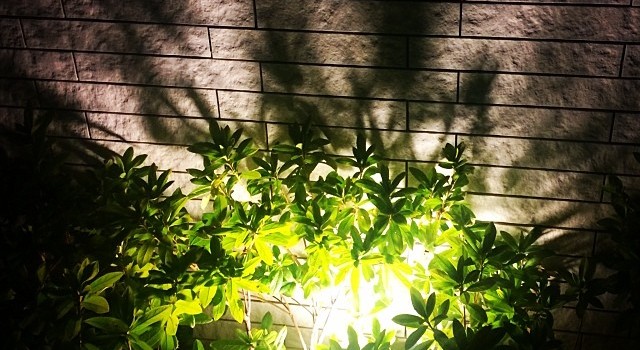 d88f90a47d2d11e3b48012bfafc99cef_8