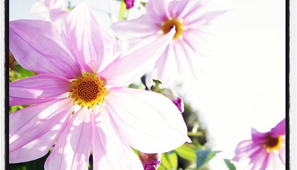 efbb75c235f811e2917422000a1fb30b_7