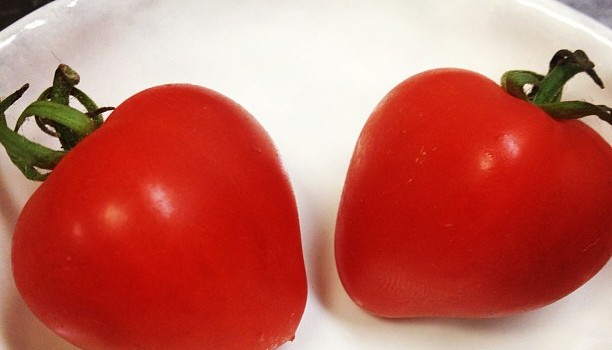 f66cde3811df11e3802a22000a9f3c9c_7