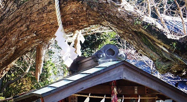 f7f2f9747a8311e38b71125977db192d_8