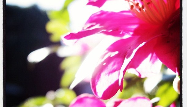 fe925f16441711e2b4d922000a1fae83_7