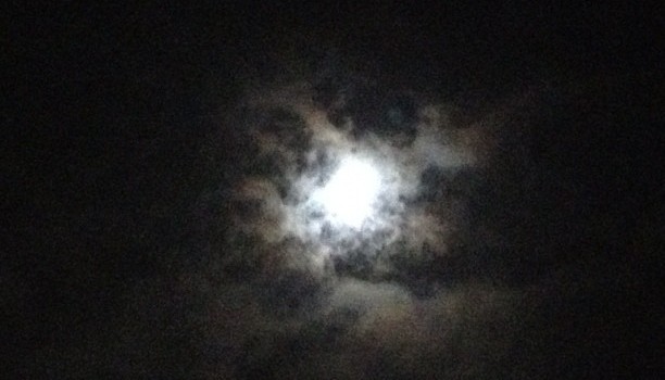 fe9a886e229b11e2ae2a22000a1f9723_7