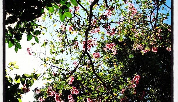 ff492f3ee99f11e1a953123138104e29_7