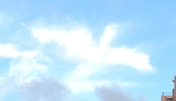 ff86b648e46c11e1b17a22000a1cdd10_7