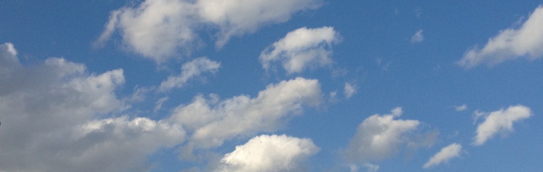 写真 2013-01-25 15 45 31